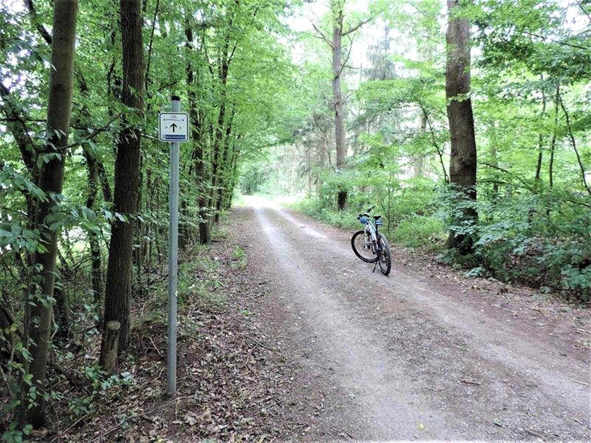 Ferienwohnung Landblick Homberg  Zewnętrze zdjęcie